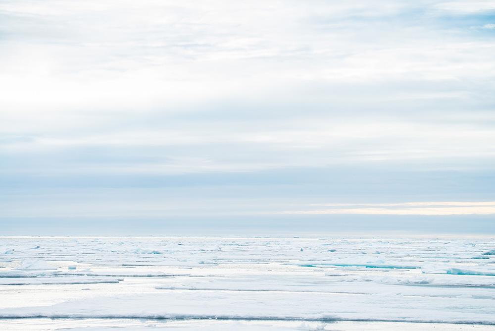 'Arctic Landscape'