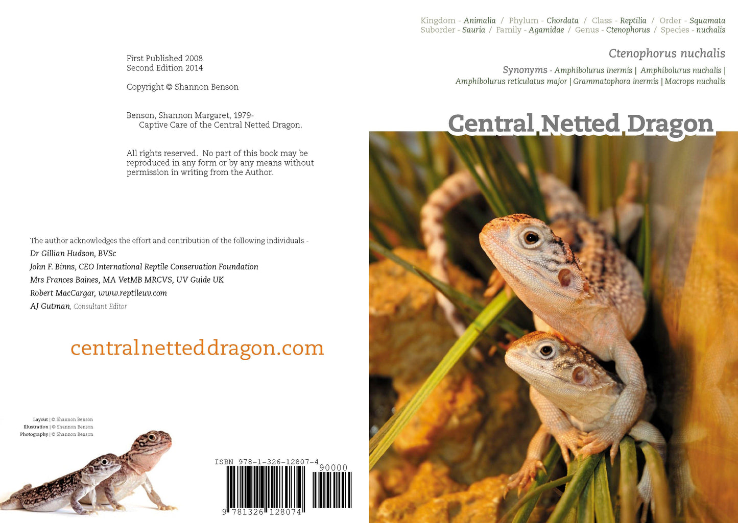 Captive Care of the Central Netted Dragon