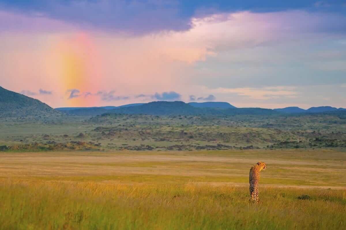 'End of the Rainbow'