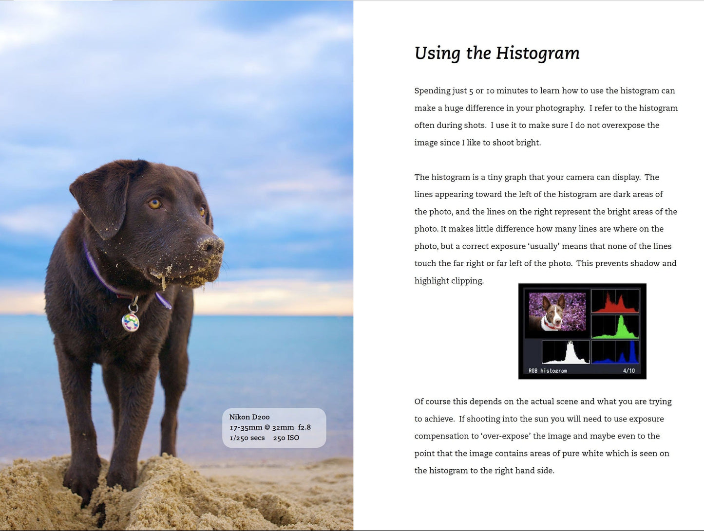 Pet Photography How-To by 'Wet Nose Fotos' founder Shannon Wild 2nd Edition