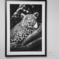 'Leopard'