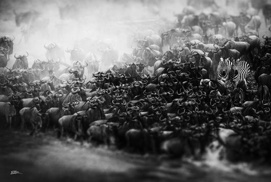 'Crossing'