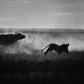 'Eternal Battle'