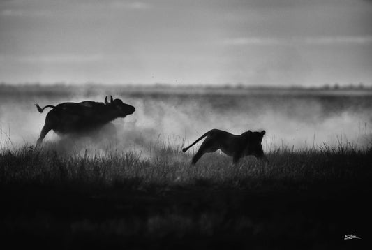 'Eternal Battle'