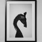 'Elegant Giraffe'
