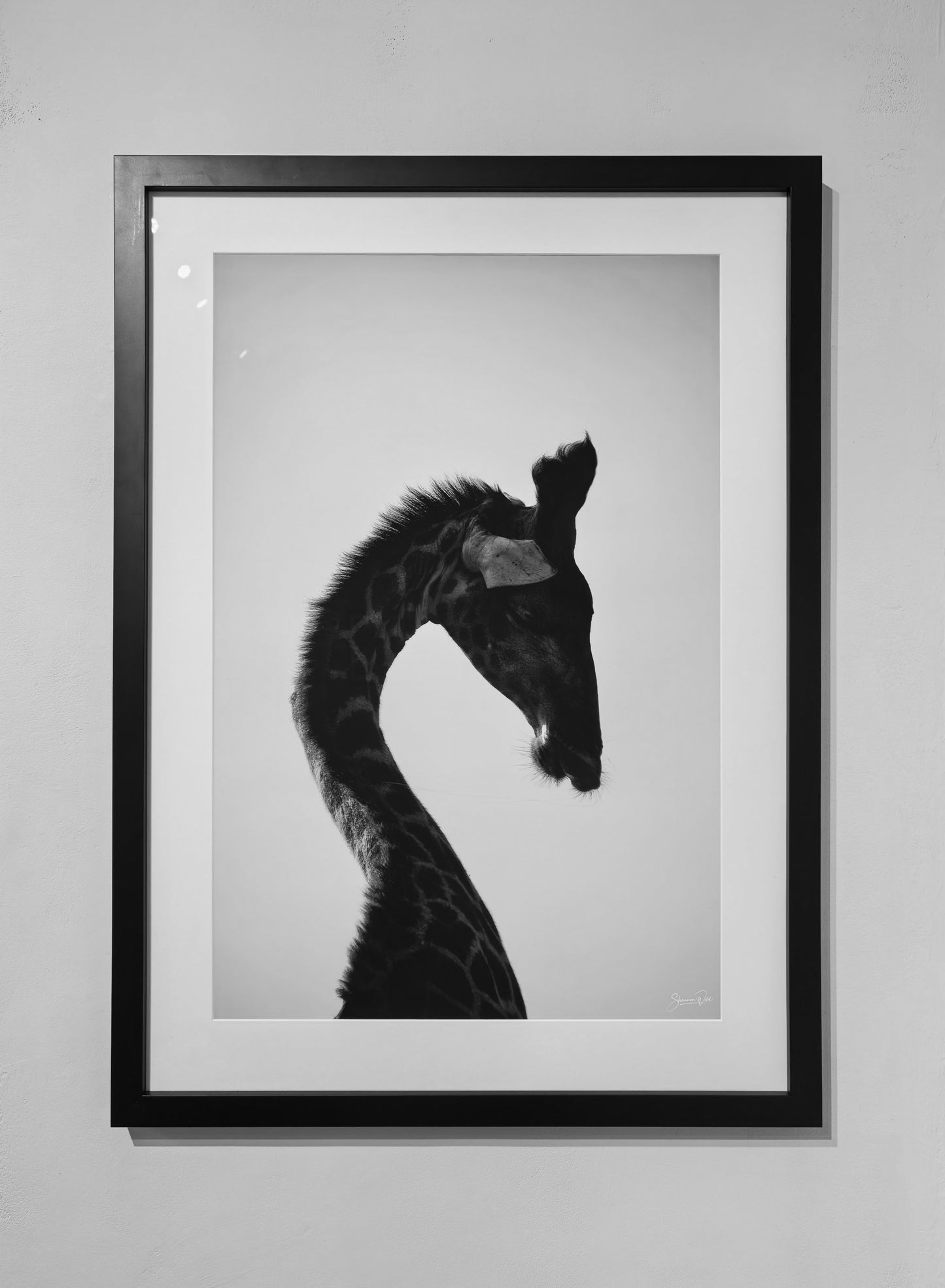 'Elegant Giraffe'