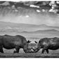 'Battle' Rhino Photo Print - Wild In Africa