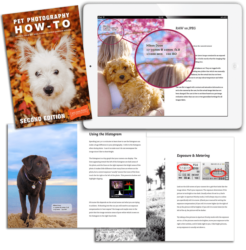 Pet Photography How-To by 'Wet Nose Fotos' founder Shannon Wild 2nd Edition